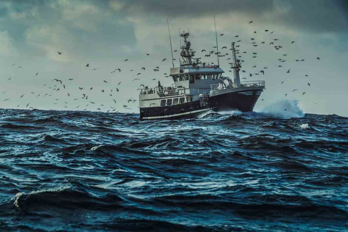 Best halibut fishing Alaska guide