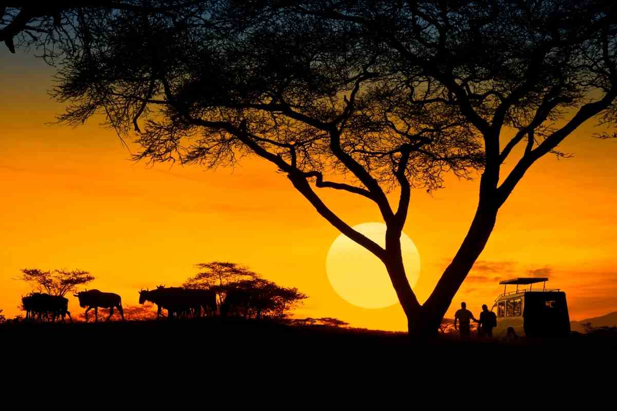 Top 10 Best Safari Destinations In Africa