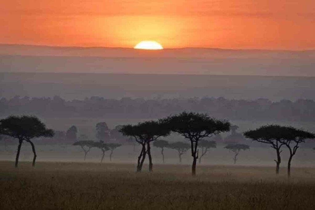 Best time travel Maasai Mara Africa