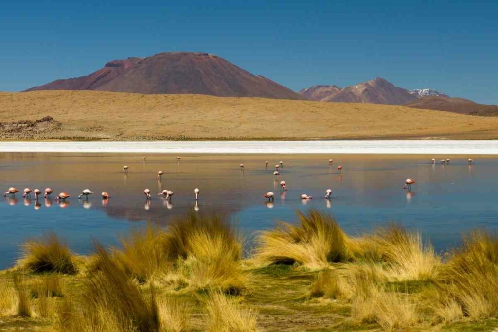 Bolivia Salt Flats best time to go