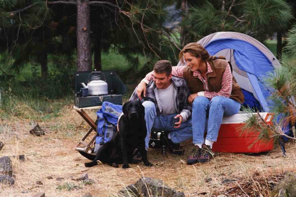 Dog friendly campsites location