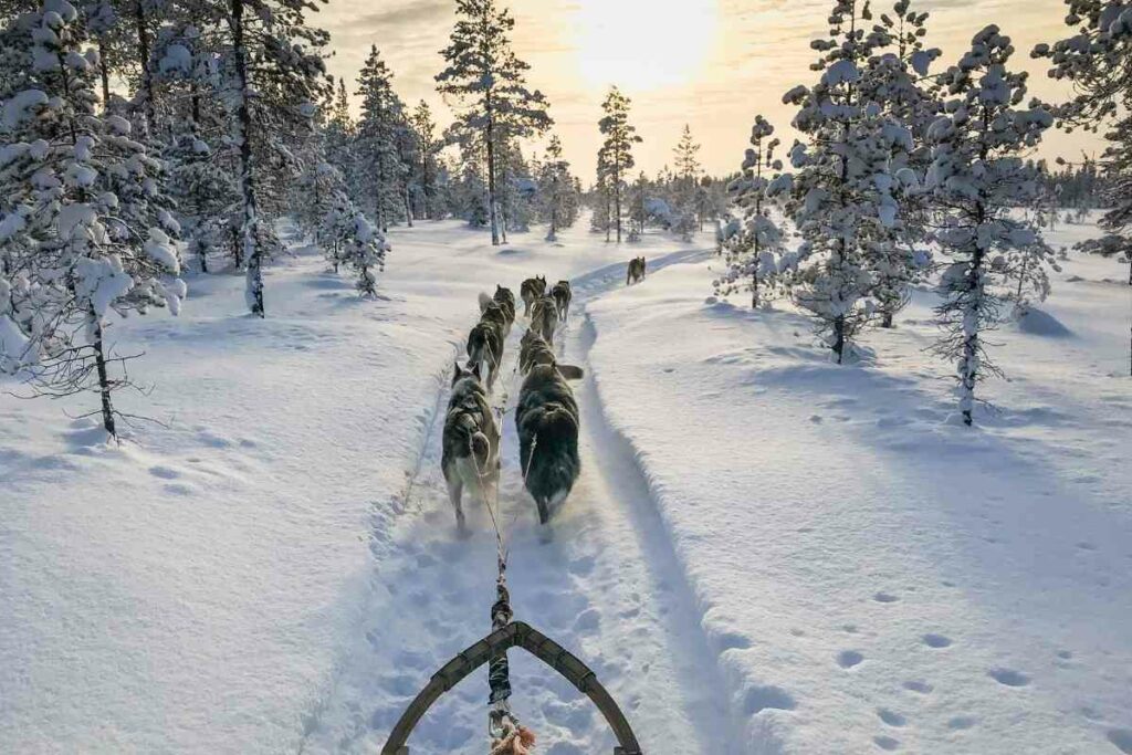 Lapland scenery snow