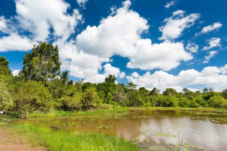 BEST THINGS TO DO IN NAIROBI KENYA intelligence overview