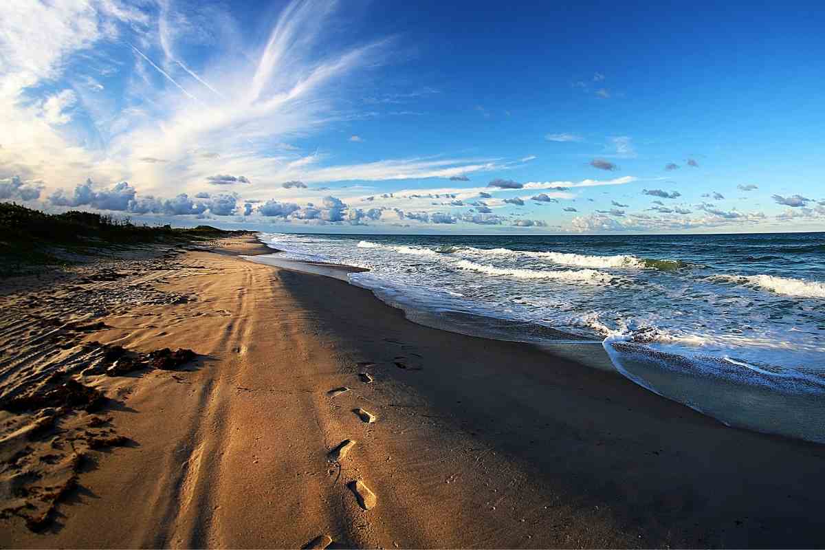 Playalinda Beach Florida: Interesting Facts