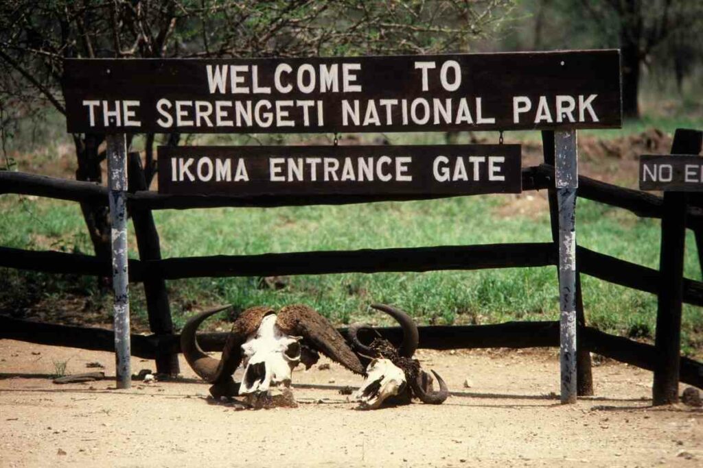 Fort ikoma gate serengeti 
