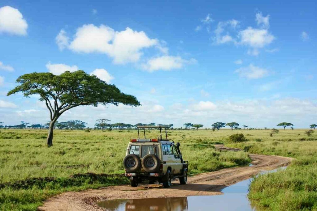 Serengeti vs Maasai Mara guide