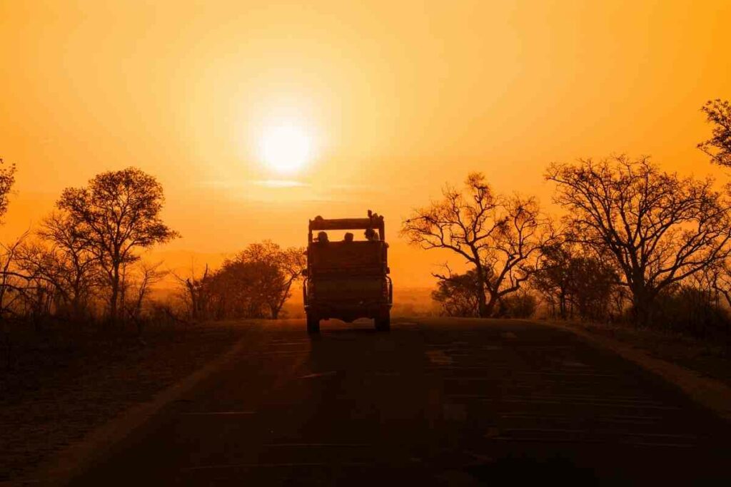 Romantic sunset African safari