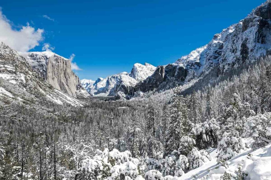 Yosemite National Park winter snowing