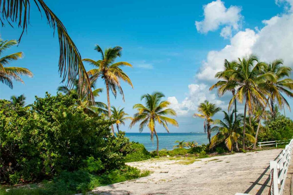 Grand Cayman vs Aruba climate facts