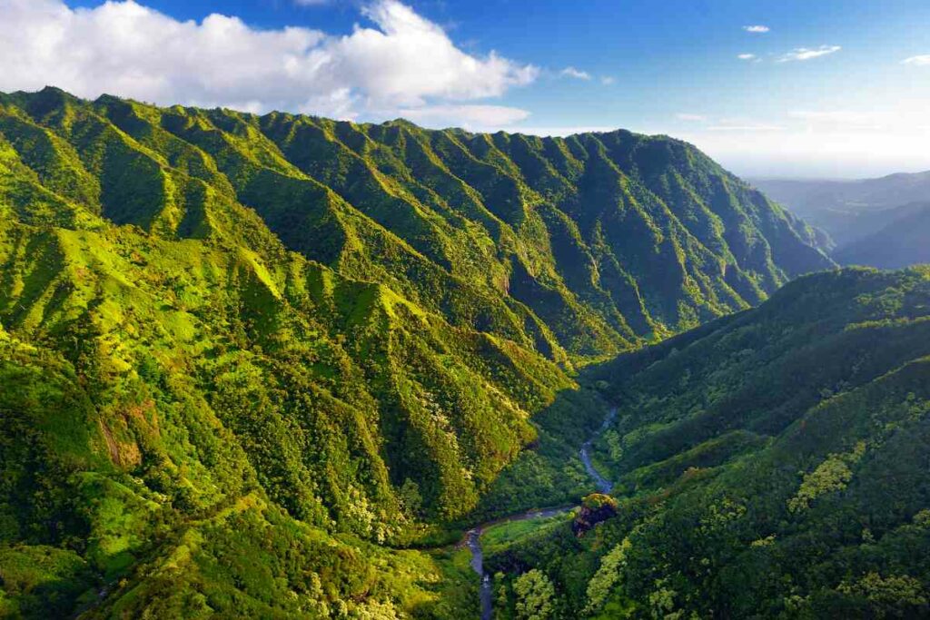 Views Hawaii green fields Kauai