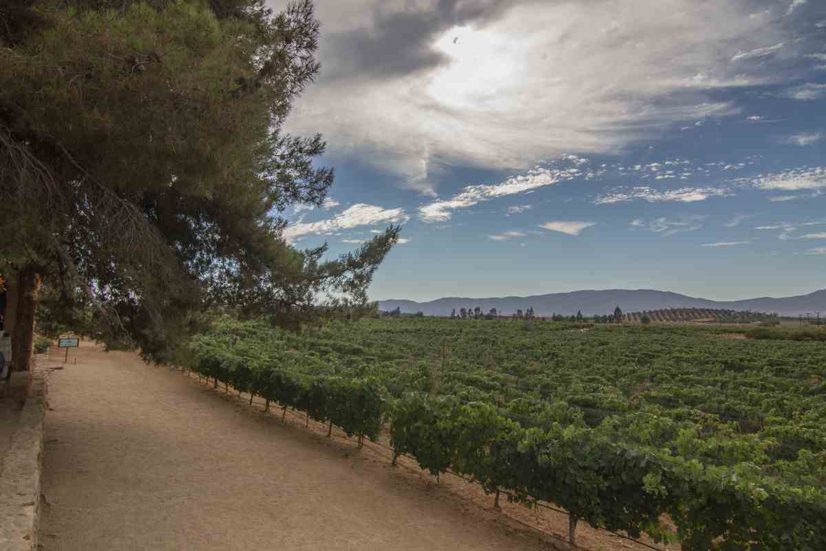 How to Get to Valle de Guadalupe?