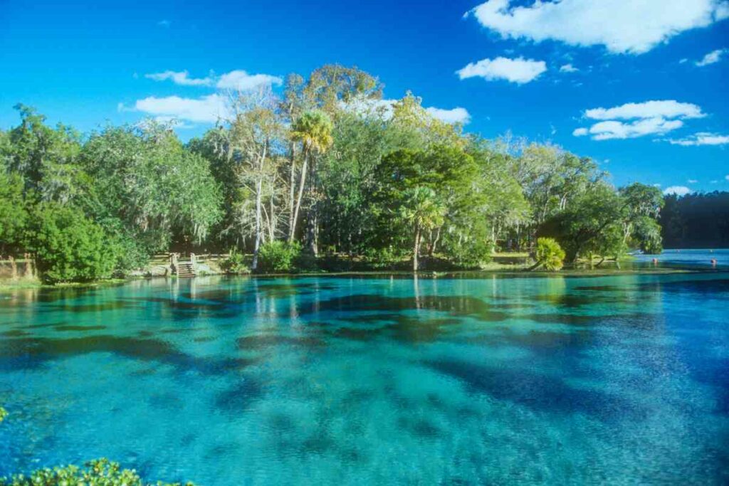 Crystal River Florida water clarity
