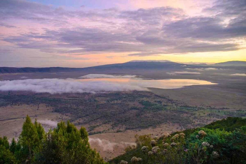 Ngorongoro crater birdwatching in Africa