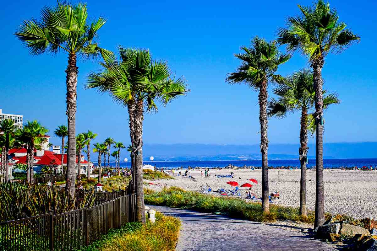 Coronado vs. La Jolla: Which Beach Town Reigns Supreme?