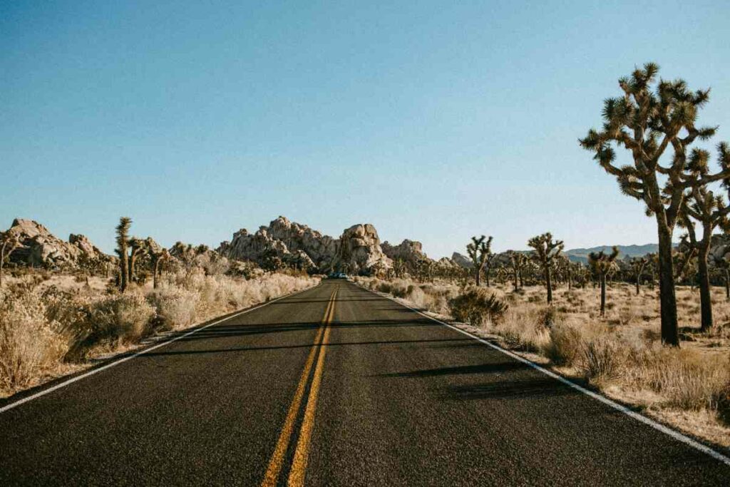 Death Valley National Park to Joshua Tree National Park itinerary