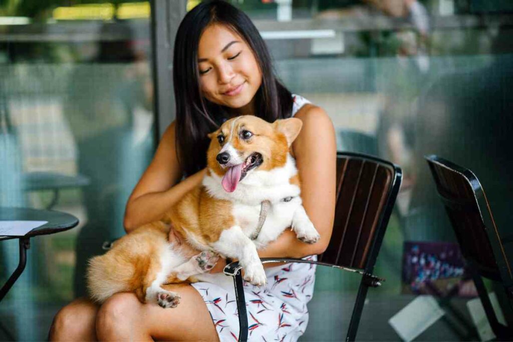 Learn Dog-etiquette tips for eating out in San Diego