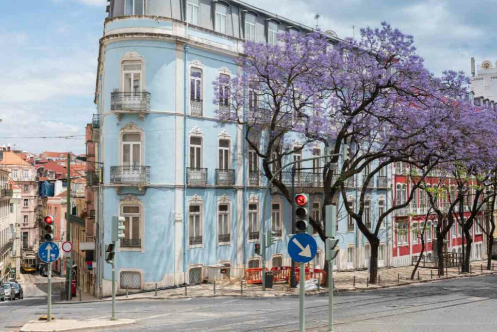 places to stay in Lisbon