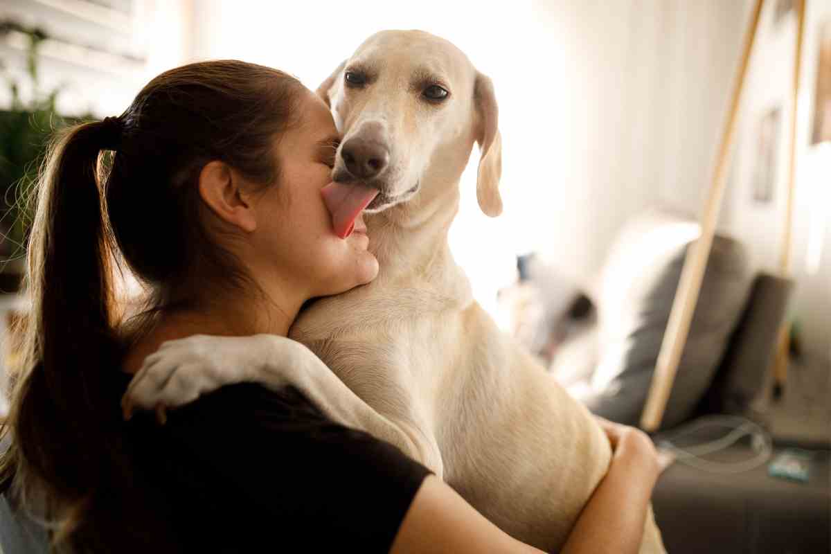 pet friendly hotels in the world guide