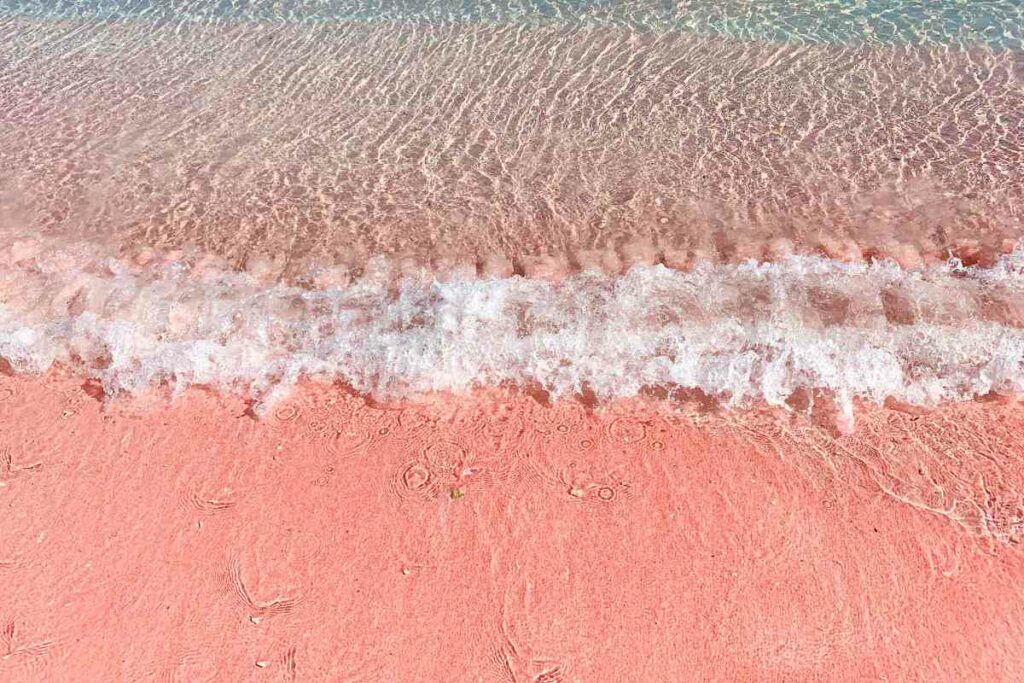 P​ink Beach in Bonaire