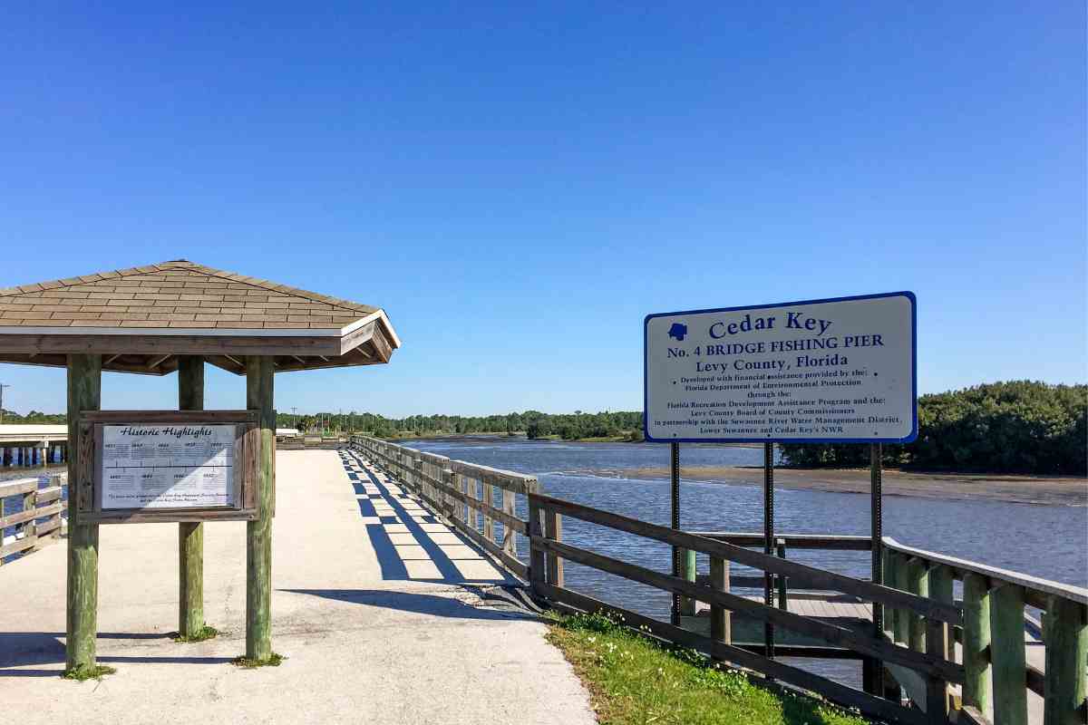 10 Best Beaches To Find Shells in Florida