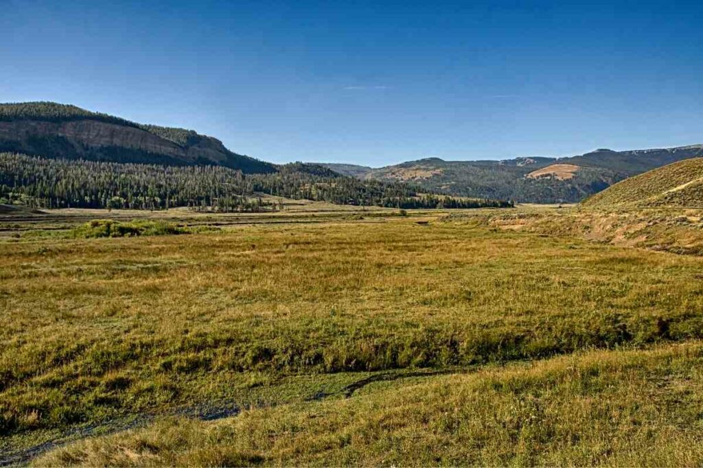 Lamar Valley Yellowstone National Park