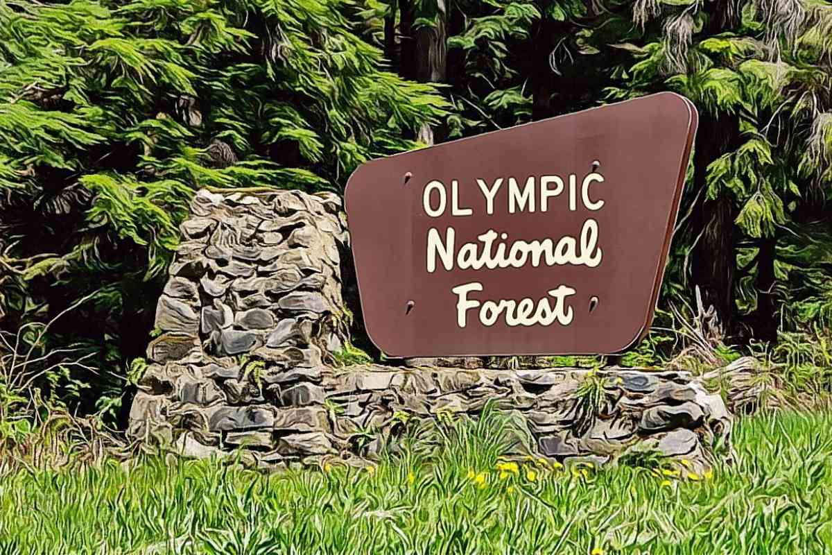 Olympic National Park 3 day itinerary guide
