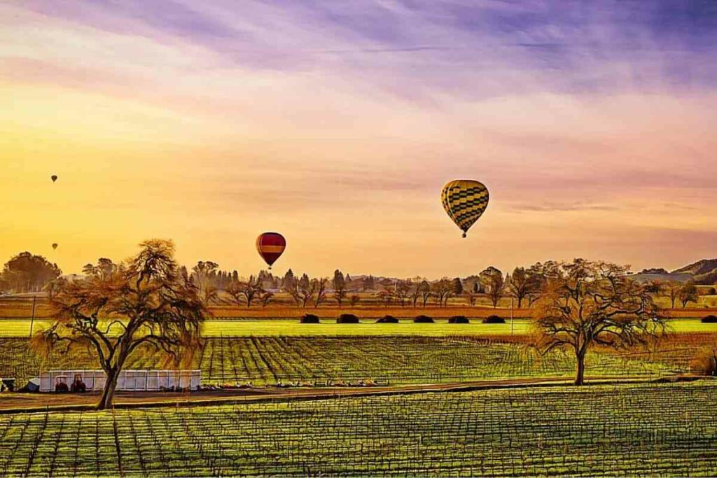 Best time to visit Napa Valley guide