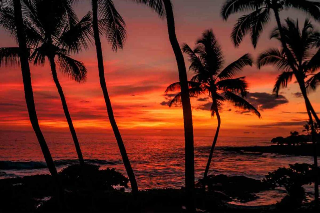 Enjoying Hawaii sunset