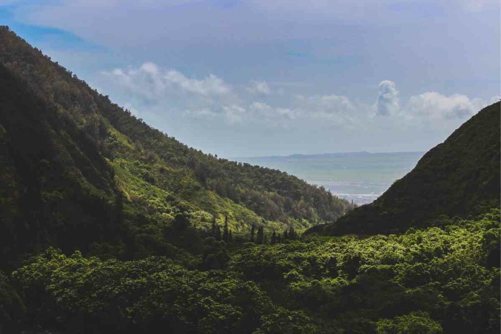 Visiting the Iao Valley State Park on Hawaii