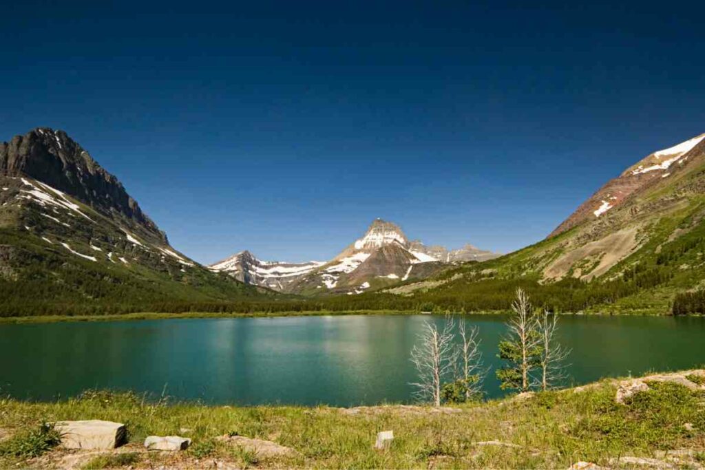 Swiftcurrent Lake Boat Tour