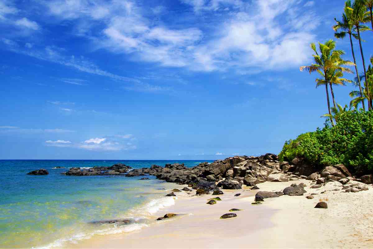 Best Beaches in Oahu for Snorkeling (Get Your Snorkel On)