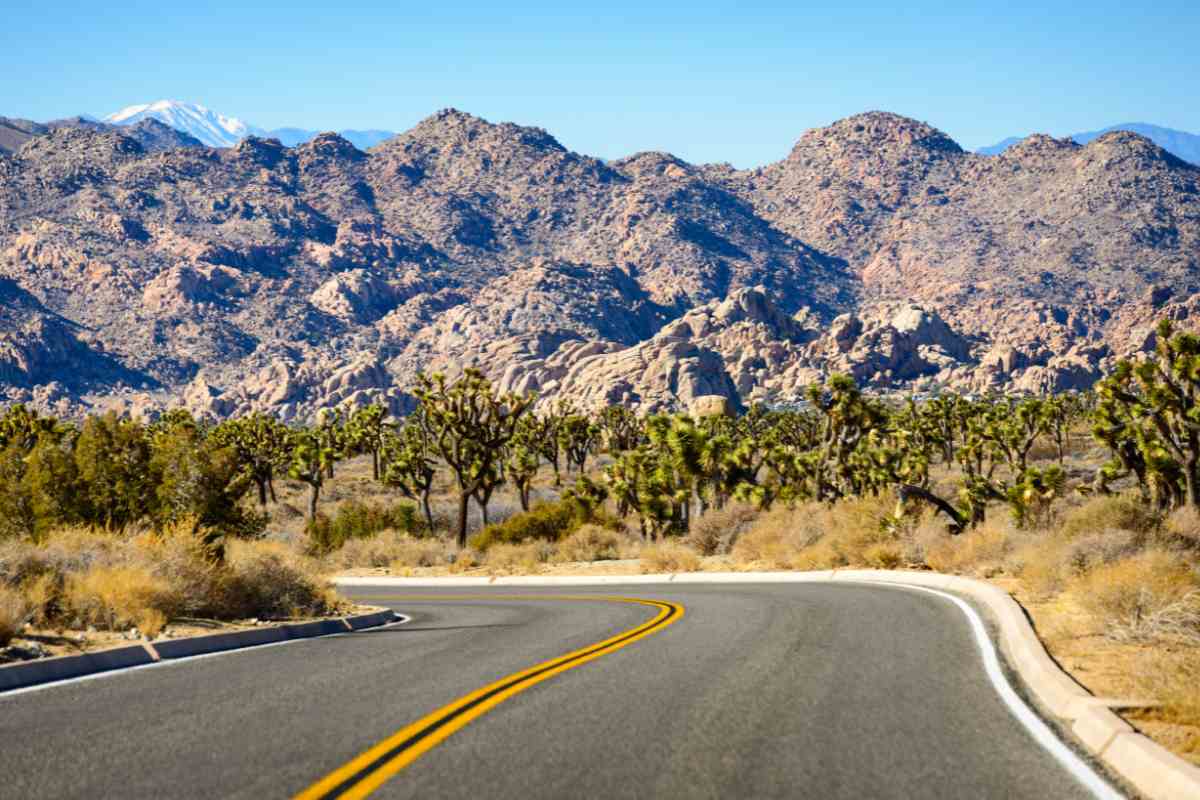 When Is The Best Time To Visit Joshua Tree, National Park