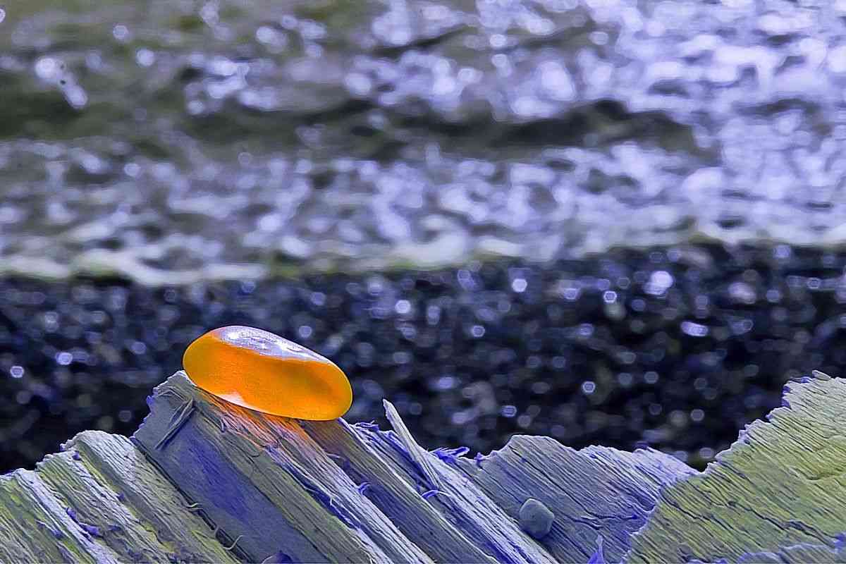 How Much Is Orange Sea Glass Worth?