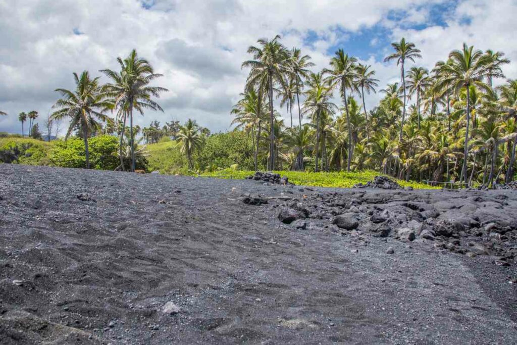 Punalu'u black Beach, Hawaii