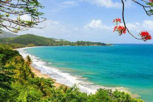 Best Beaches In Rincon, Puerto Rico