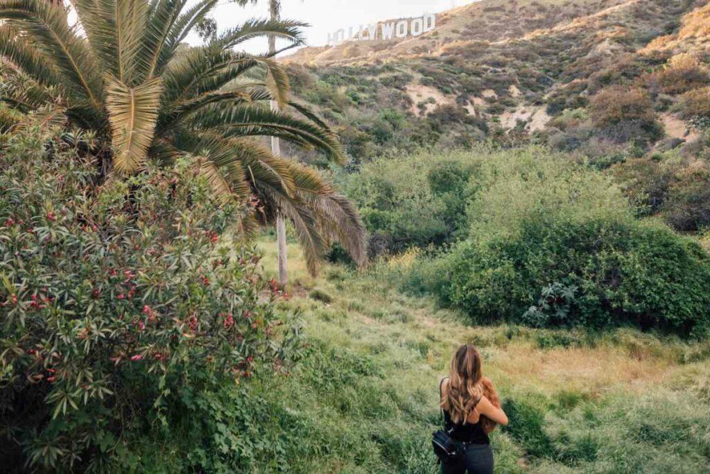hiking trails to see Hollywood sign