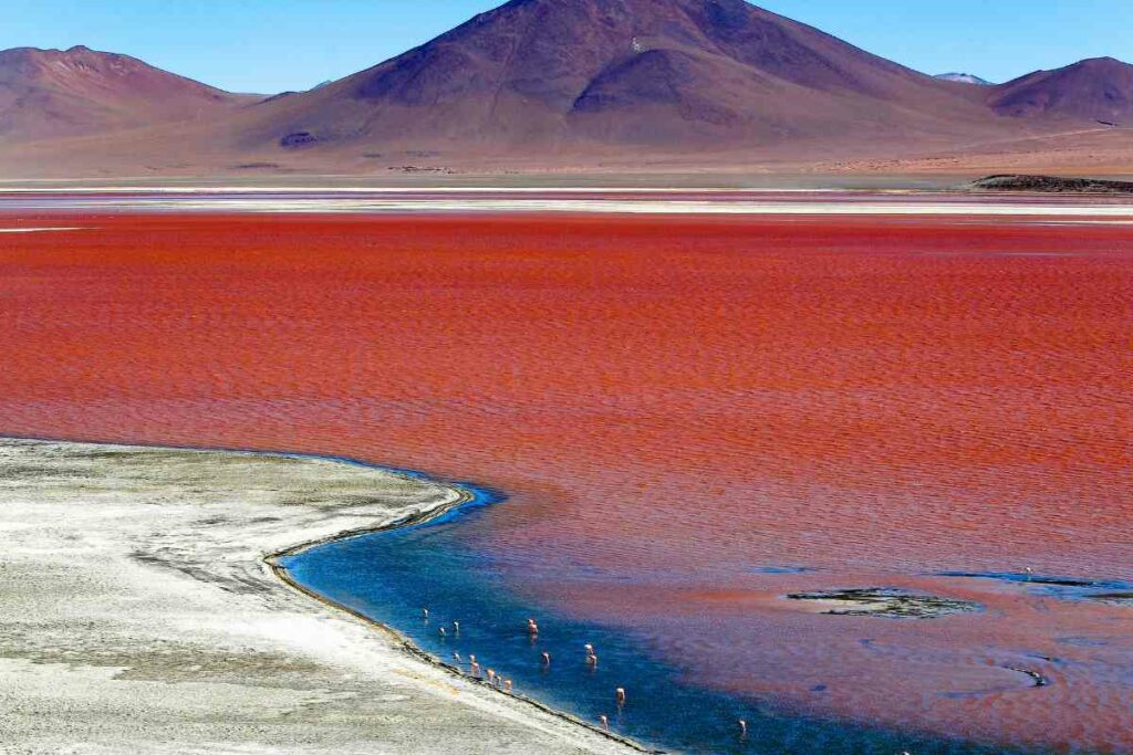 Beautiful Laguna Colorada, Bolivia