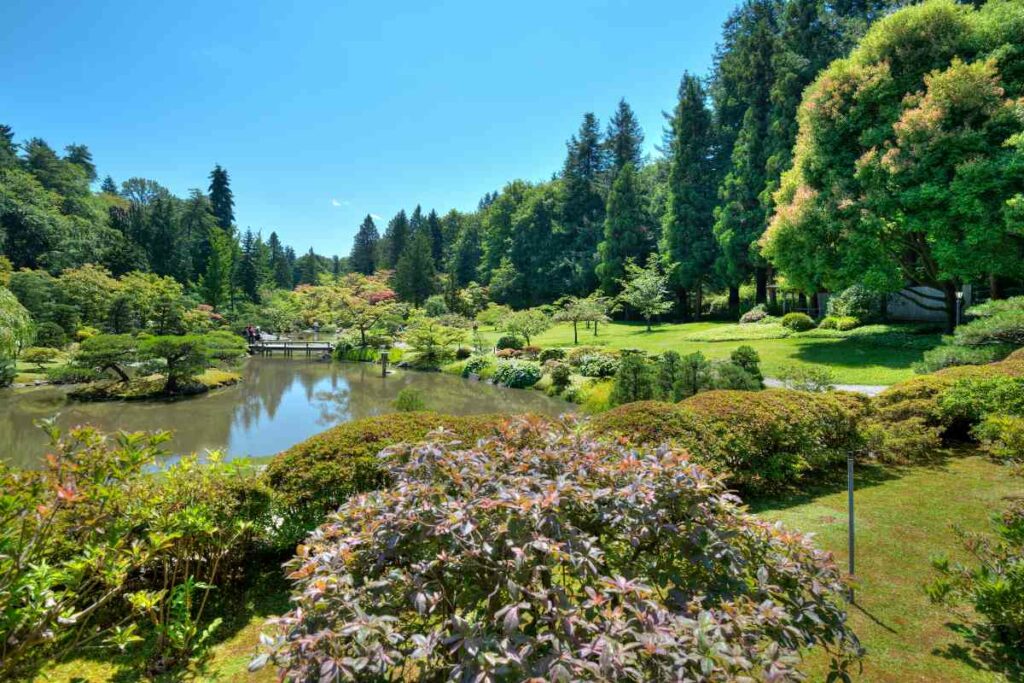 Washington Park Arboretum Instagram Spot