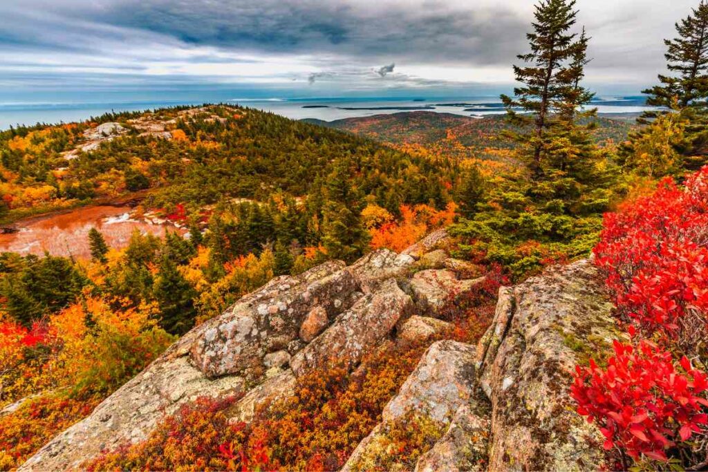 Autumn time Acadia National Park