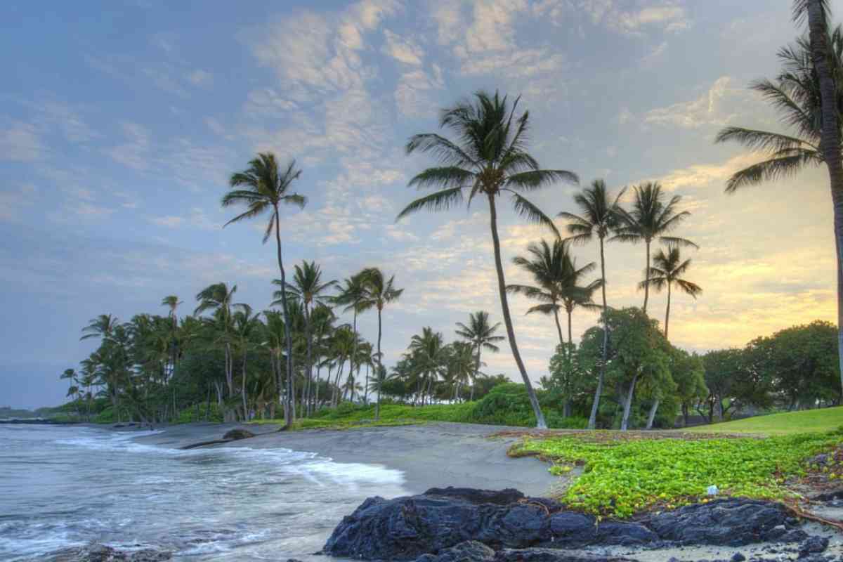 Best Beaches In Kona for Swimming guide