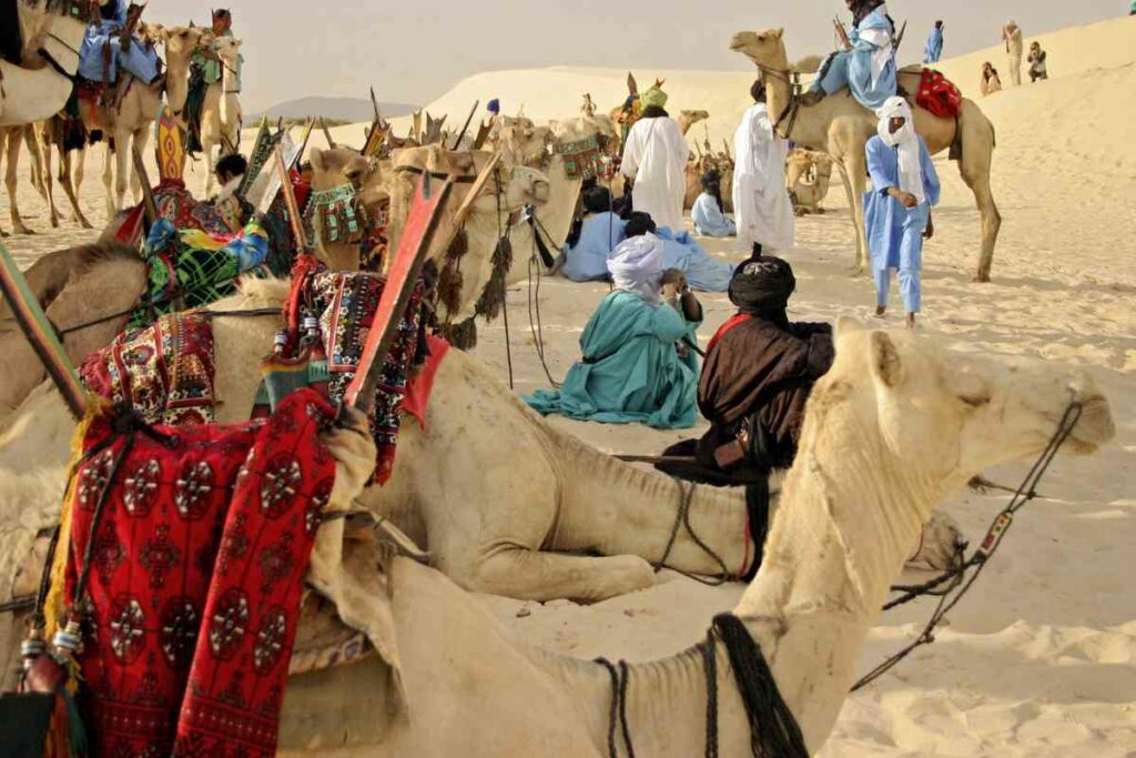 Festival Desert, Mali Afirca