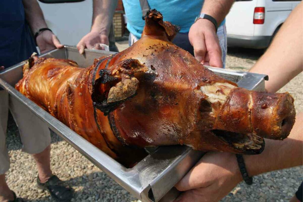 Roasted pig for Christmas in Serbia