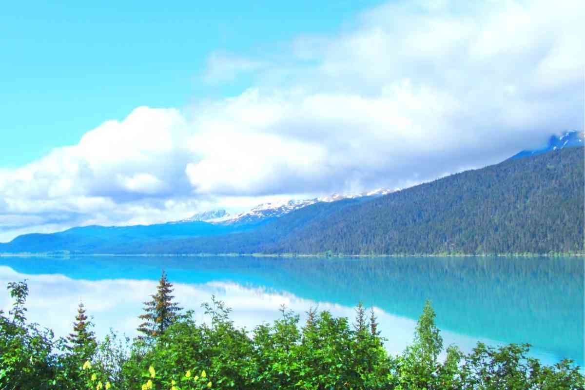 8 Things To Do In Alaska (The Ultimate Alaska Checklist)