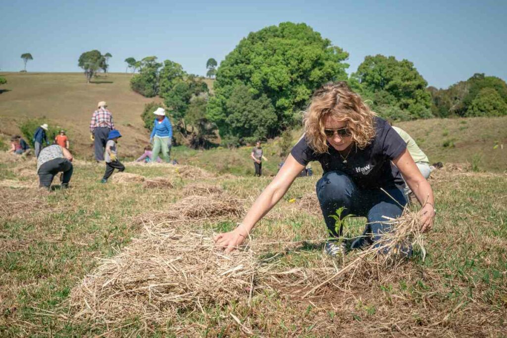 The Pros and Cons of Voluntourism