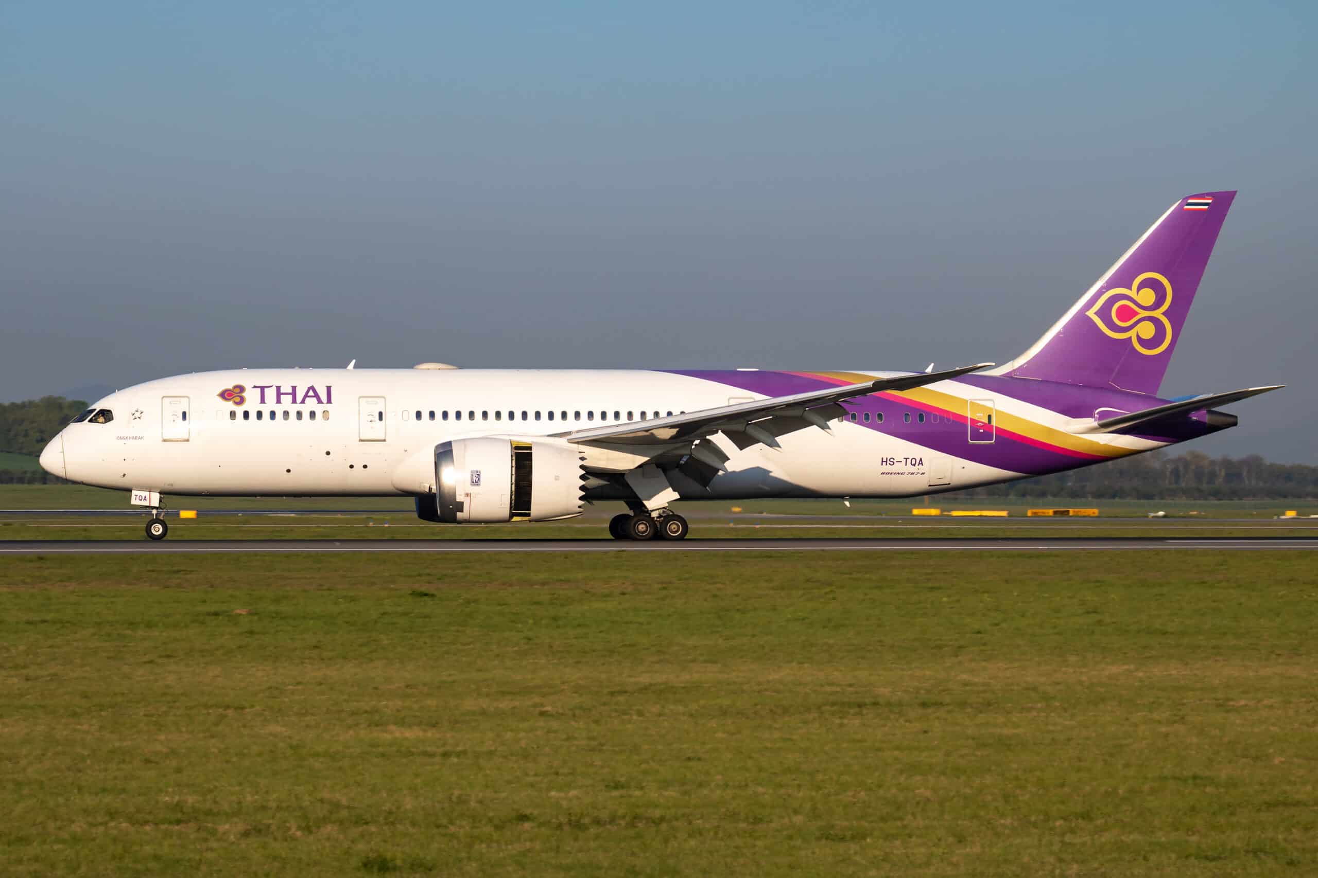 How Big are Thai Airways Seats and Seatbelts: A Quick Guide