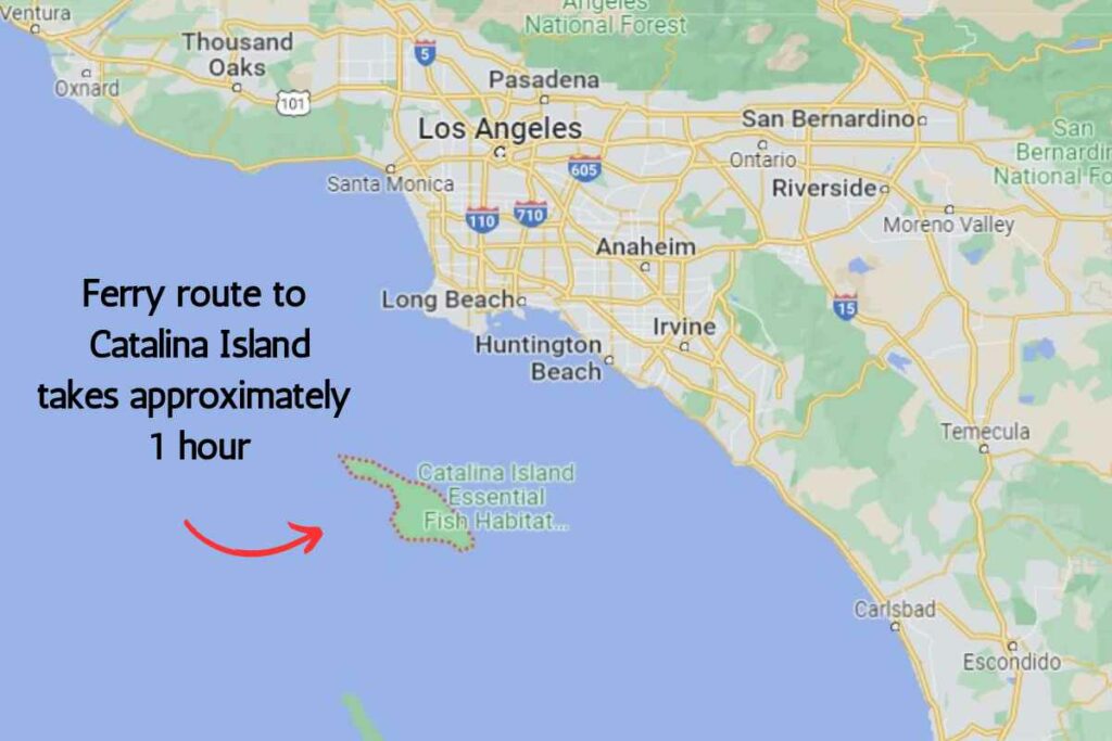 Catalina Island ferry route time