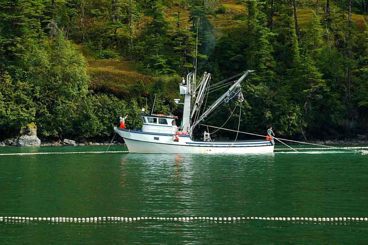 Fishing In Prince William Sound (Best Places & Time to Go)