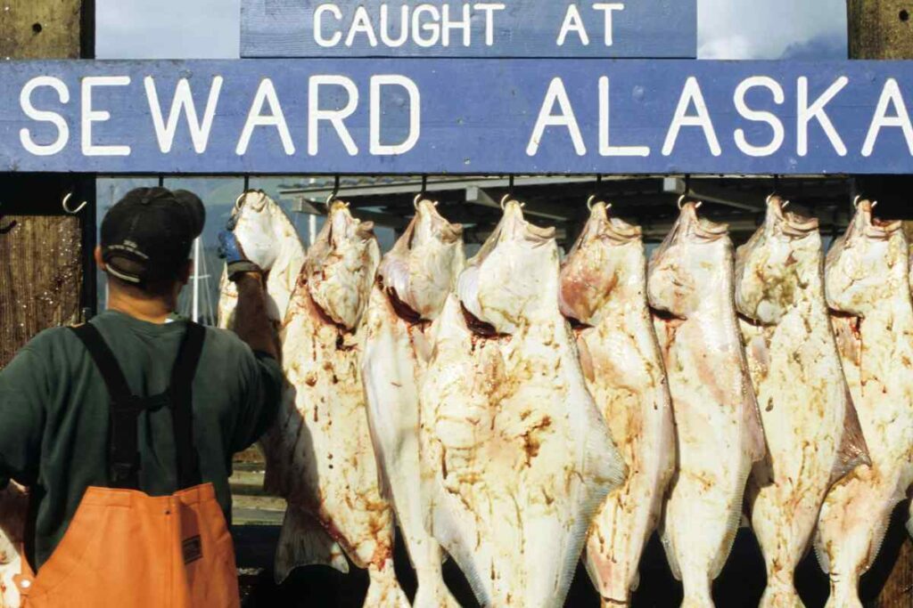 Seward Alaska fishing