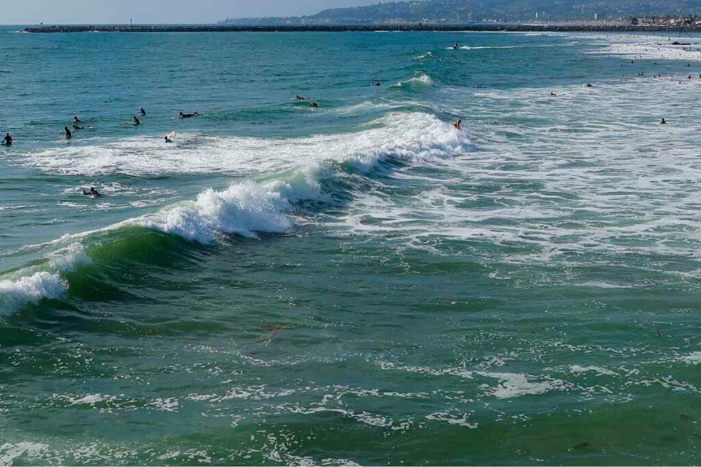 Surfing Ocean Beach California