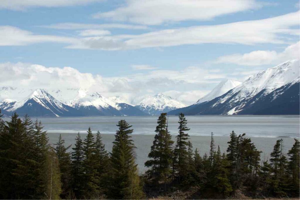 Turnagain Arm view